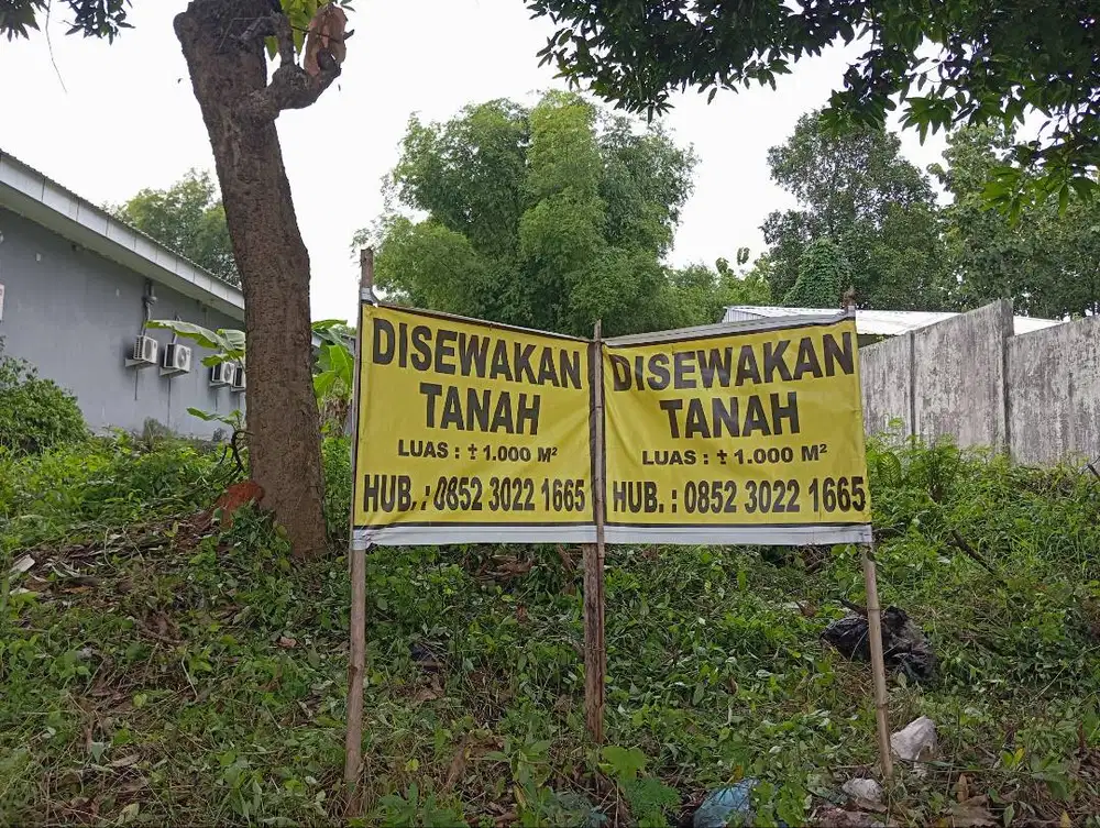 Luas +- 1000m2, tdk perlu urug lagi. Sewa jangka panjang