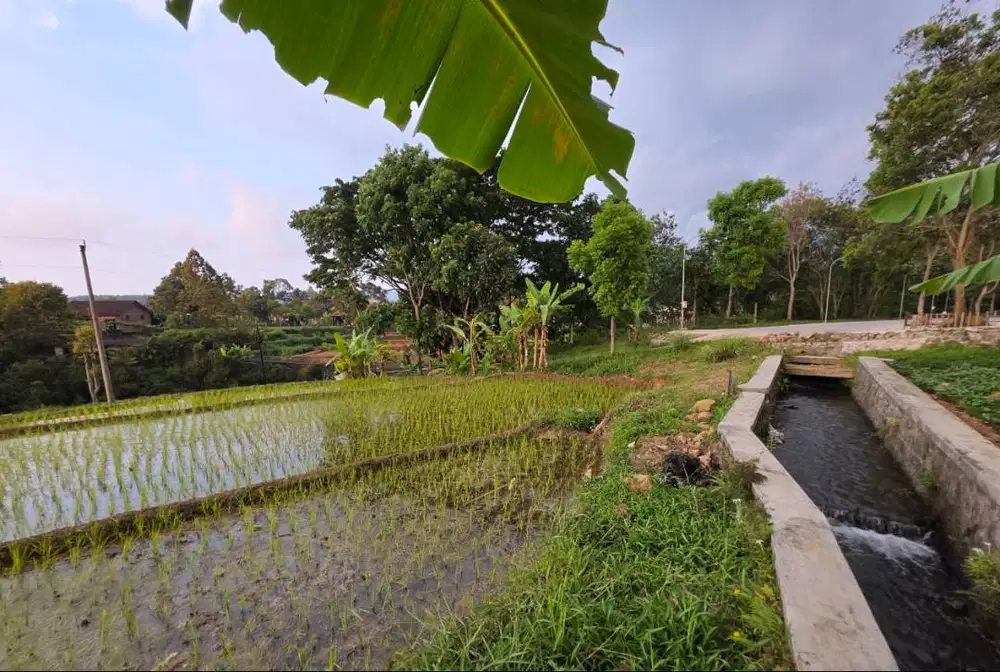 Tanah Pekarangan, status kering, pinggir jalanSHM, view bagus