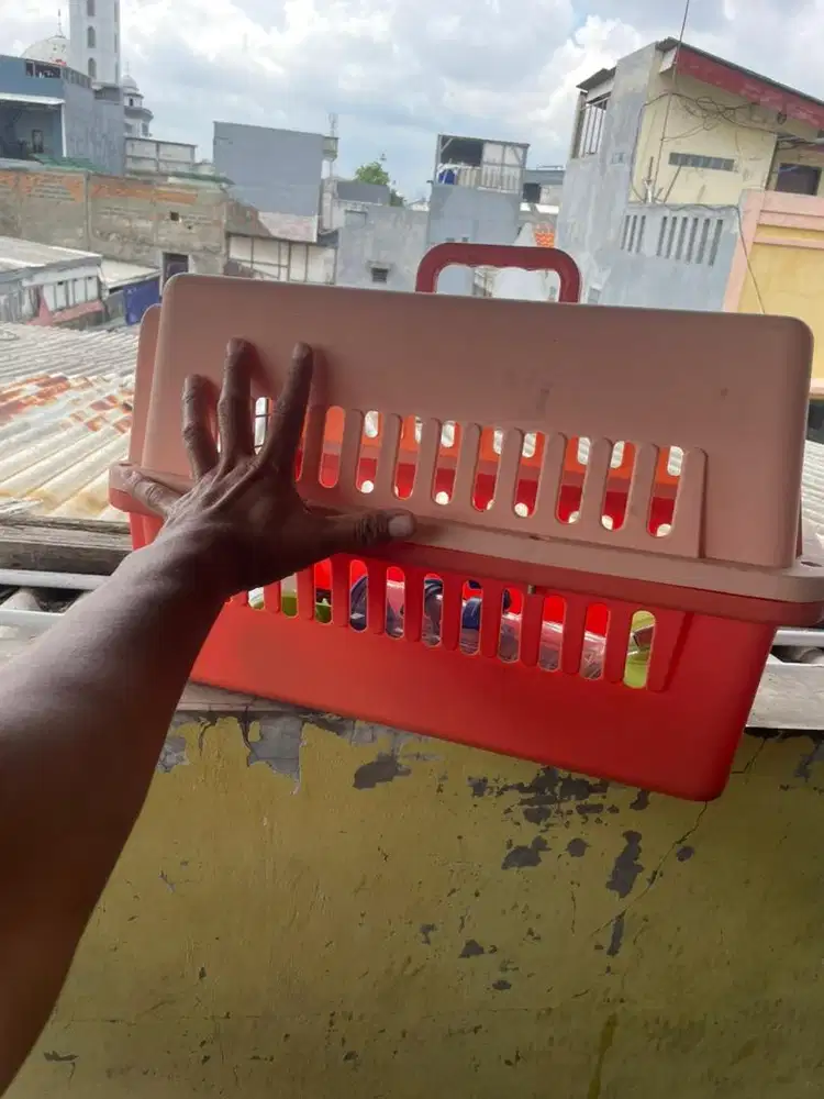 kandang anjing kucing