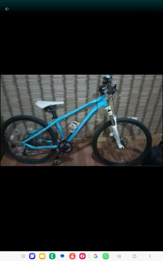 Sepeda Polygon Cleo 2.0 second