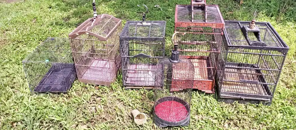 Kandang burung bejas