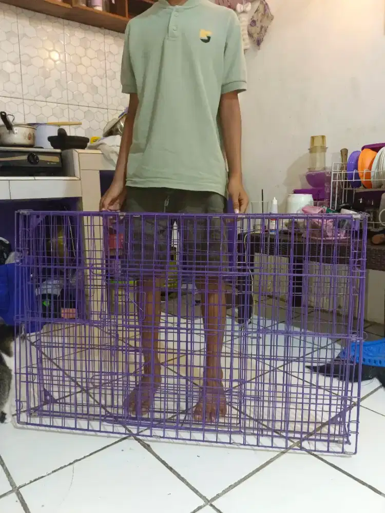 KANDANG KUCING SIZE 90 BISA DILIPAT