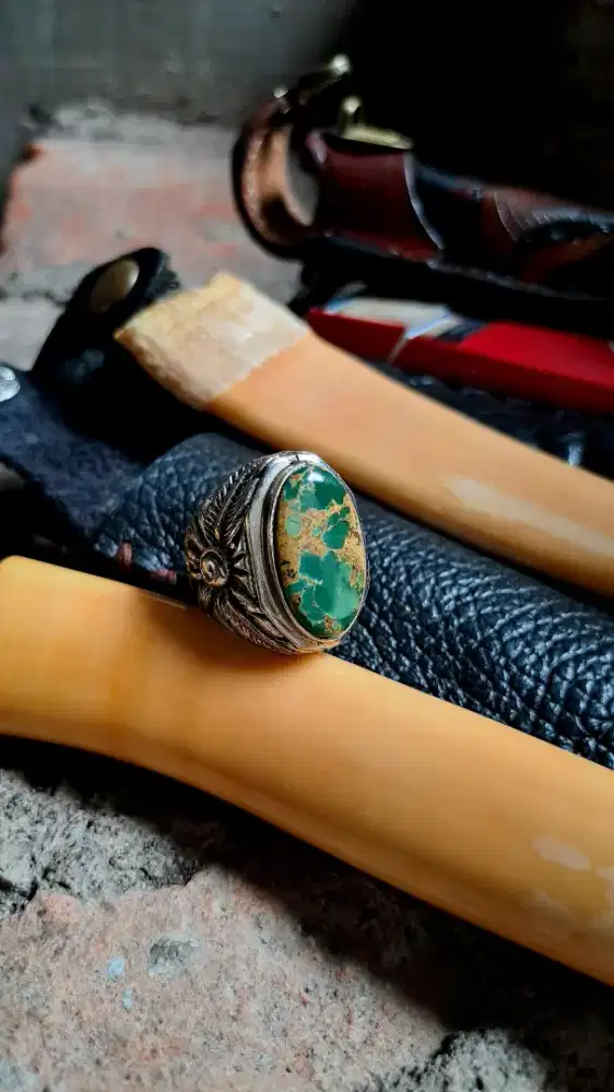 pirus persia hijau dondong