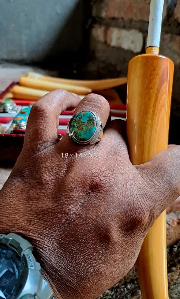 pirus persia tua lawasan (morselen)