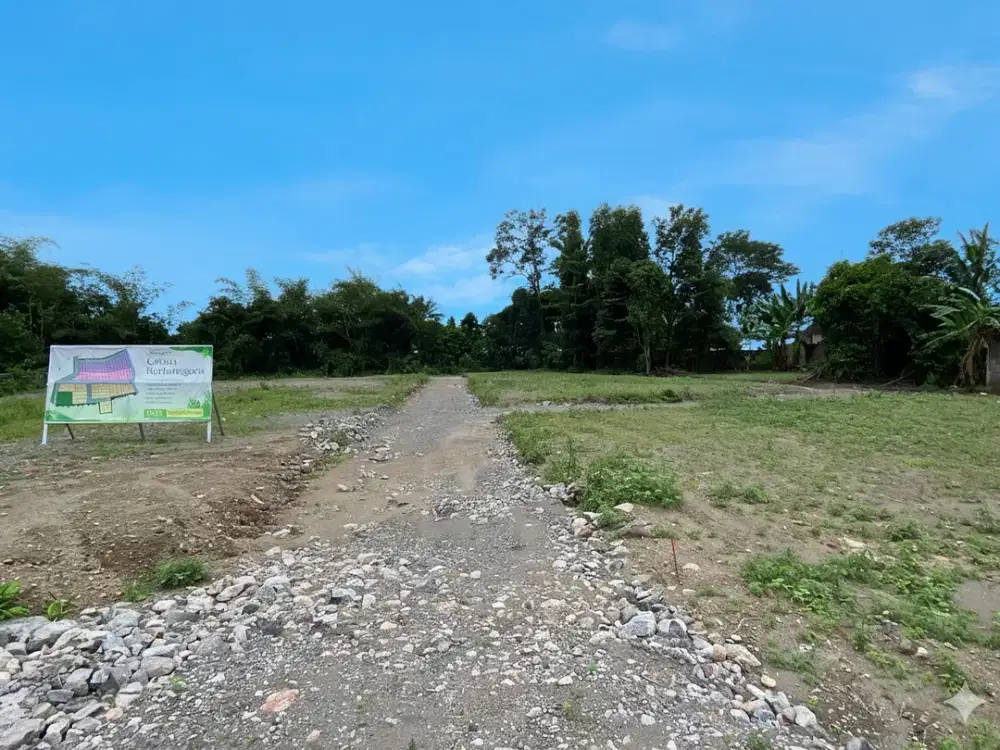 Land Kalasan Dijual 1 Jt-an/m2 8 Menit Stadion Maguwoharjo