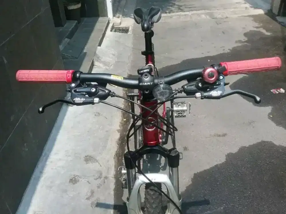 Giant NRS Original unlimited