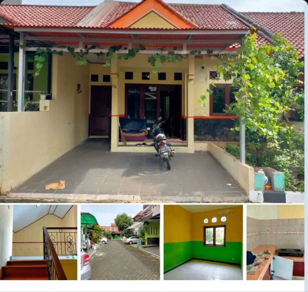 Disewakan Rumah 2 lantai Sawo Griya Kencana