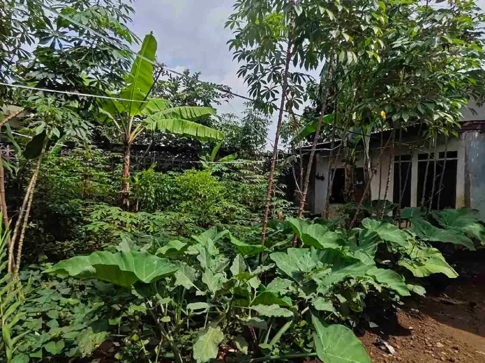 dijual kavling desa cicayur gading Serpong