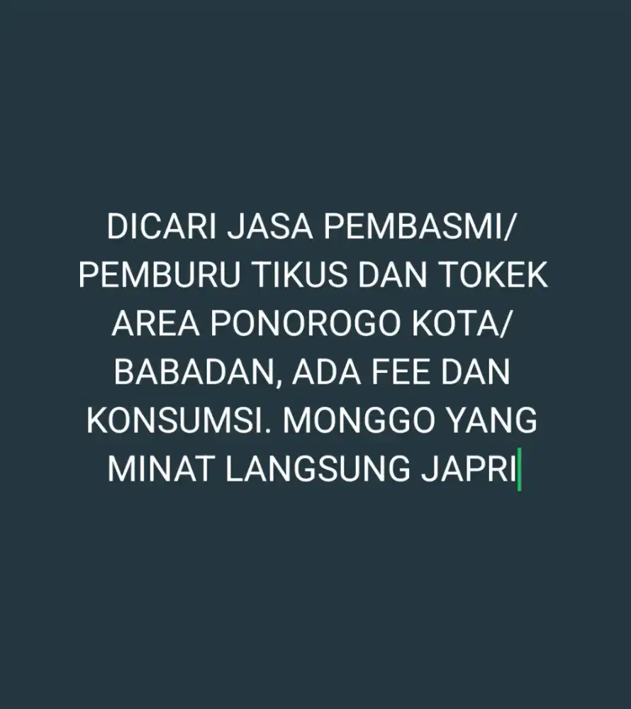 Dicari pemburu pembasmi tikus tokek