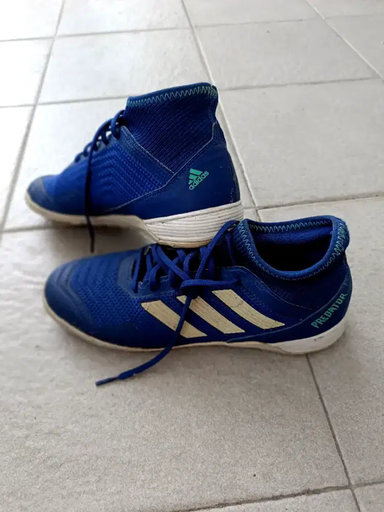 Sepatu Futsal Adidas Predator Original
