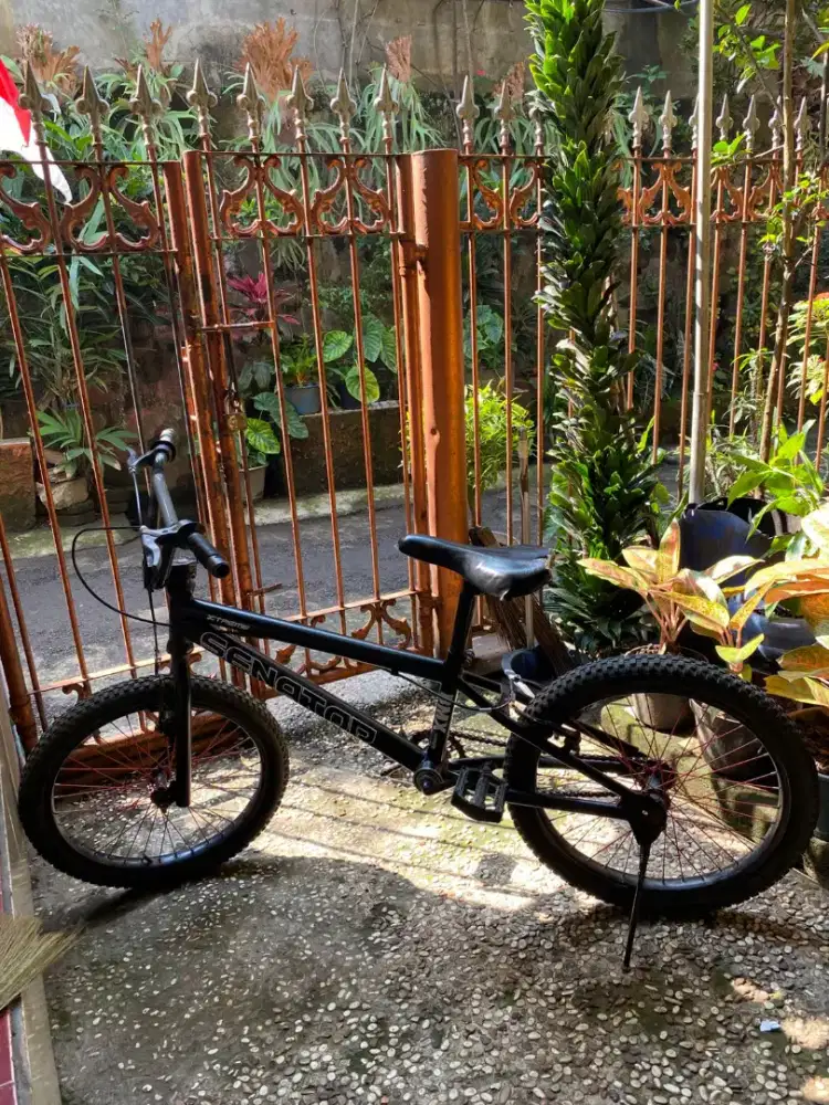 Jual sepeda BMX