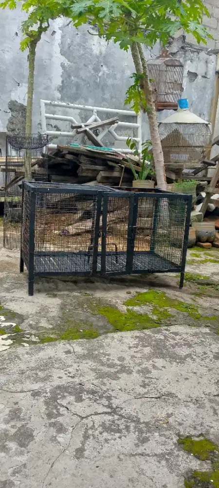 Kandang besi kotak