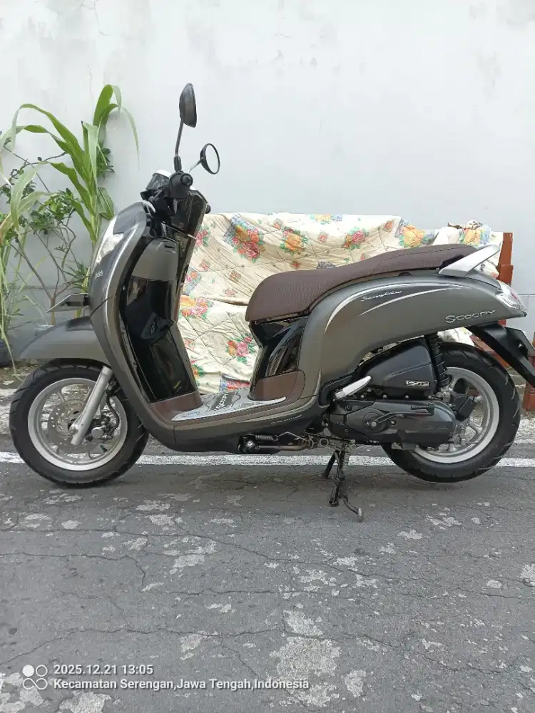 Scoopy 2018 Plat AD Solo