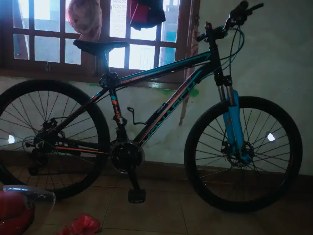 Jual sepeda Polygon monarch