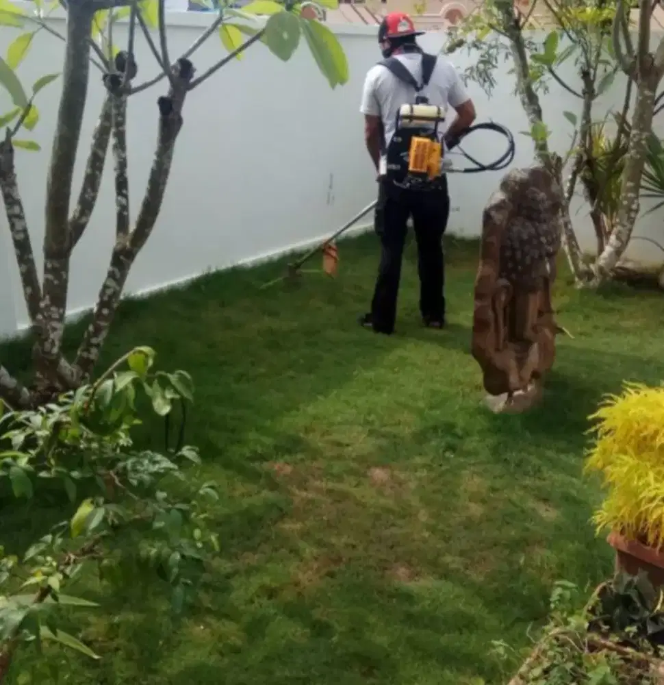 terima jasa tanam rumput dan desain taman minimalis serta potong rumpt
