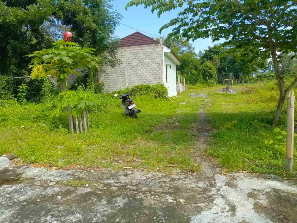 TANAH WIDODOMARTANI NGEMPLAK SLEMAN YOGYAKARTA.