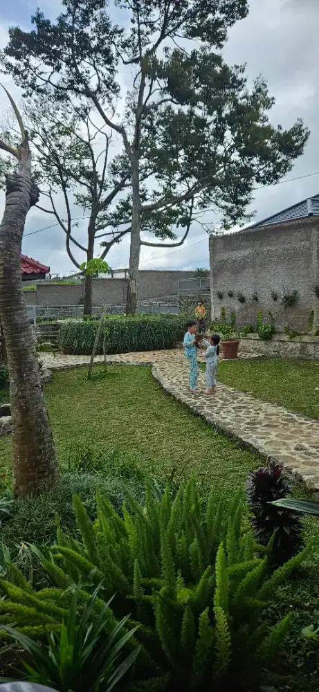 Di cari ART untuk di BANDUNG