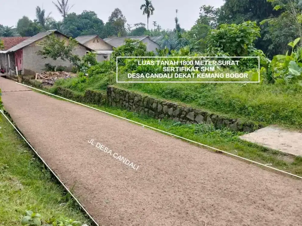 TANAH MURAH DEKAT DARI JALAN UTAMA DI DESA CANDALI KEMANG BOGOR