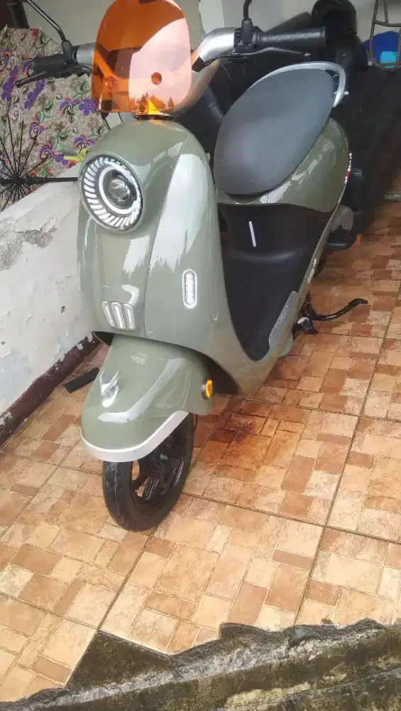 Sepeda listrik U-Winfly T65L