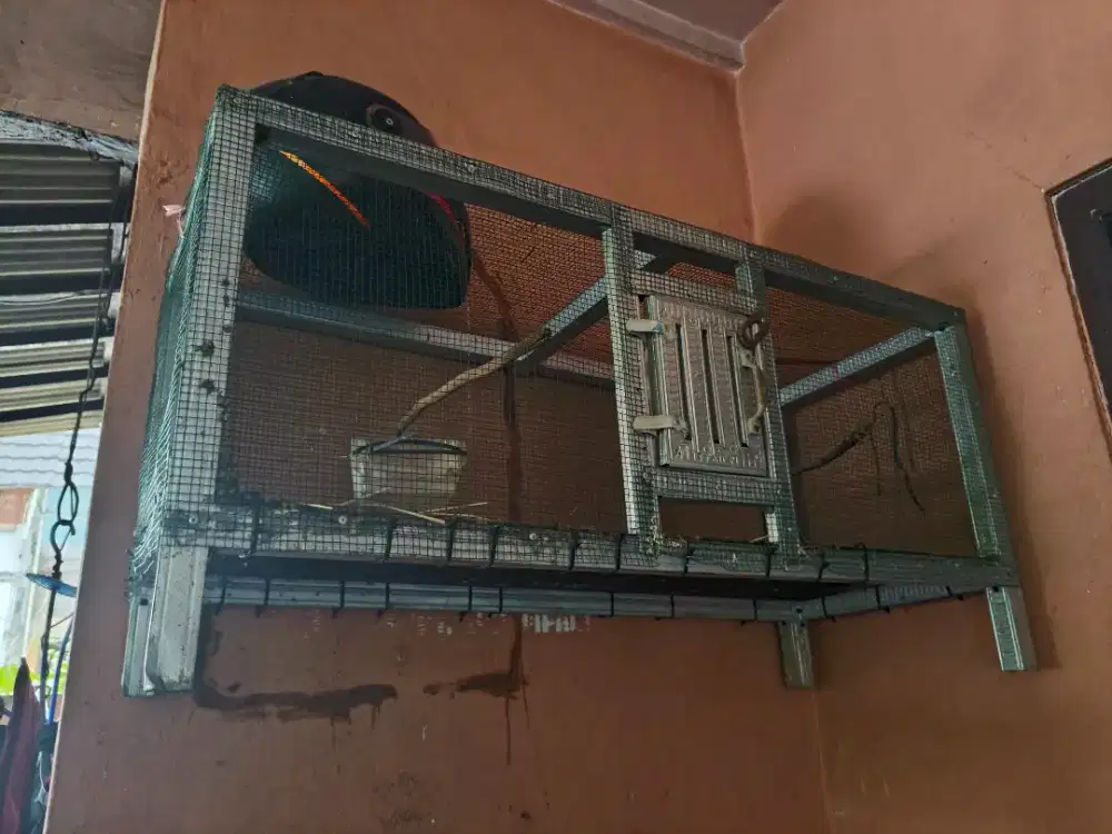 Kandang ternak bekas burung puter