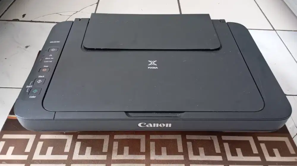 Printer Canon MG 2570S Second