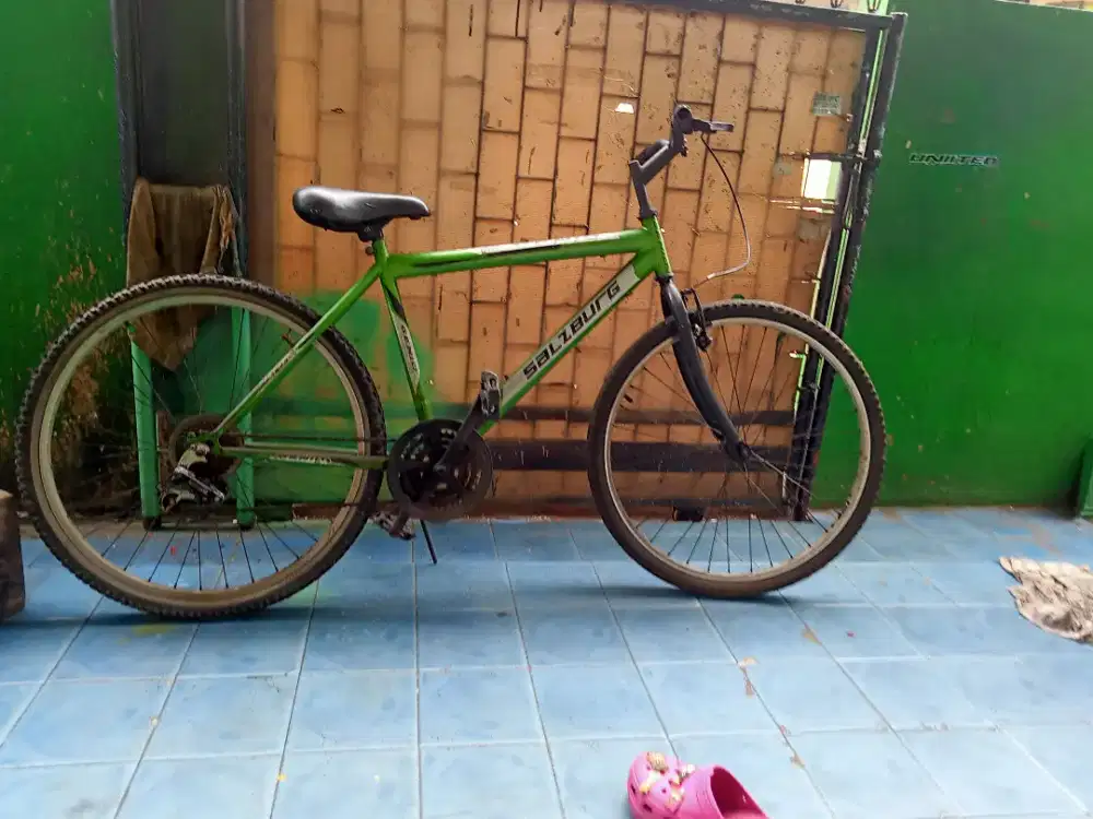 Mtb ring 26 Genio salzburg