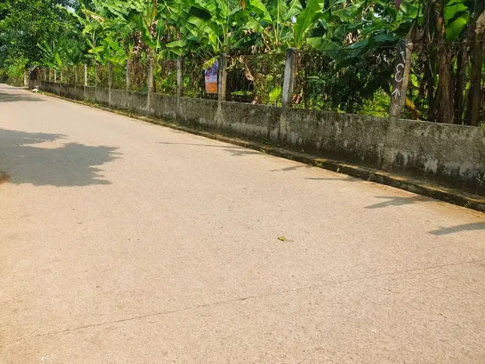 Tanah Kavling Cisauk - Hanya 1JTan berbatsan dengan BSD