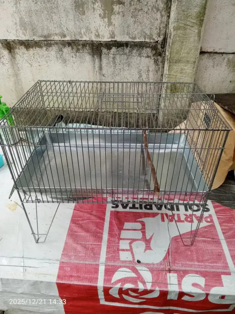 Kerambah burung murai