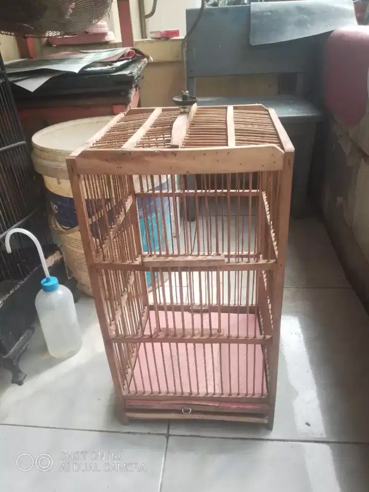 Kandang burcil masih OK di BSD