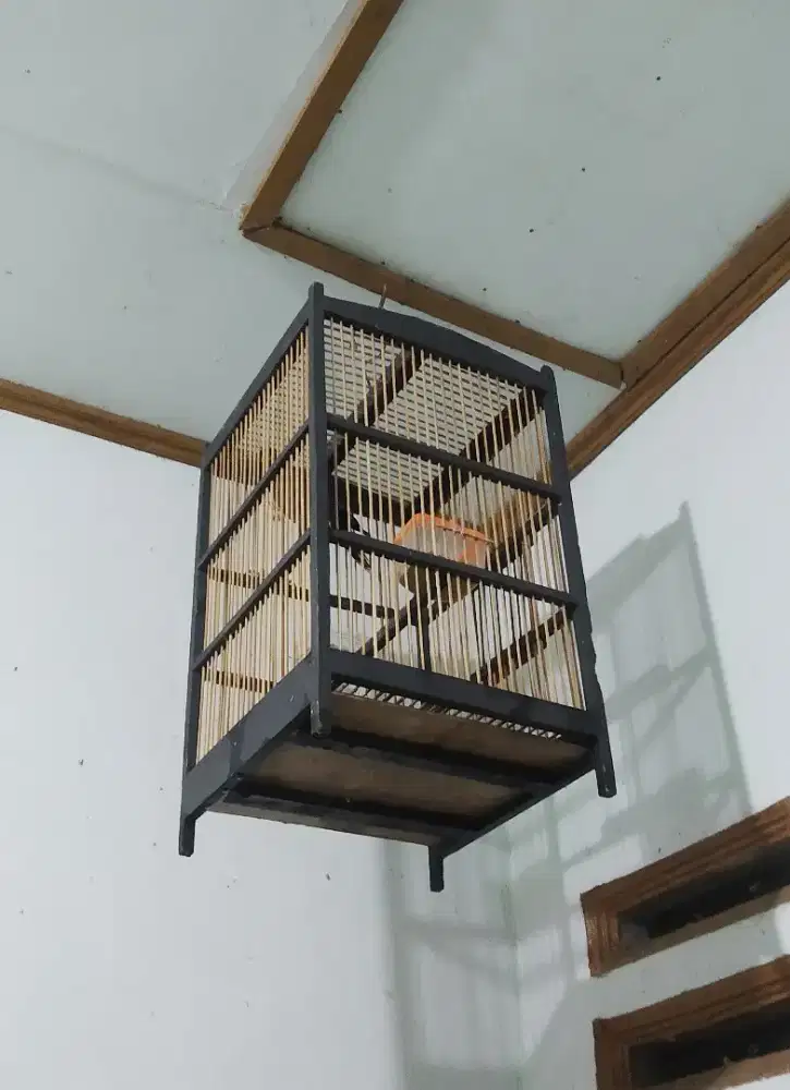 Kandang Burung Sama Isinya