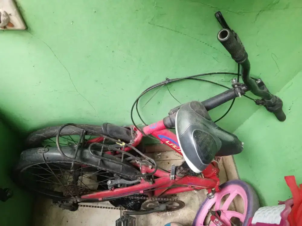 Sepeda bekas masih bagus