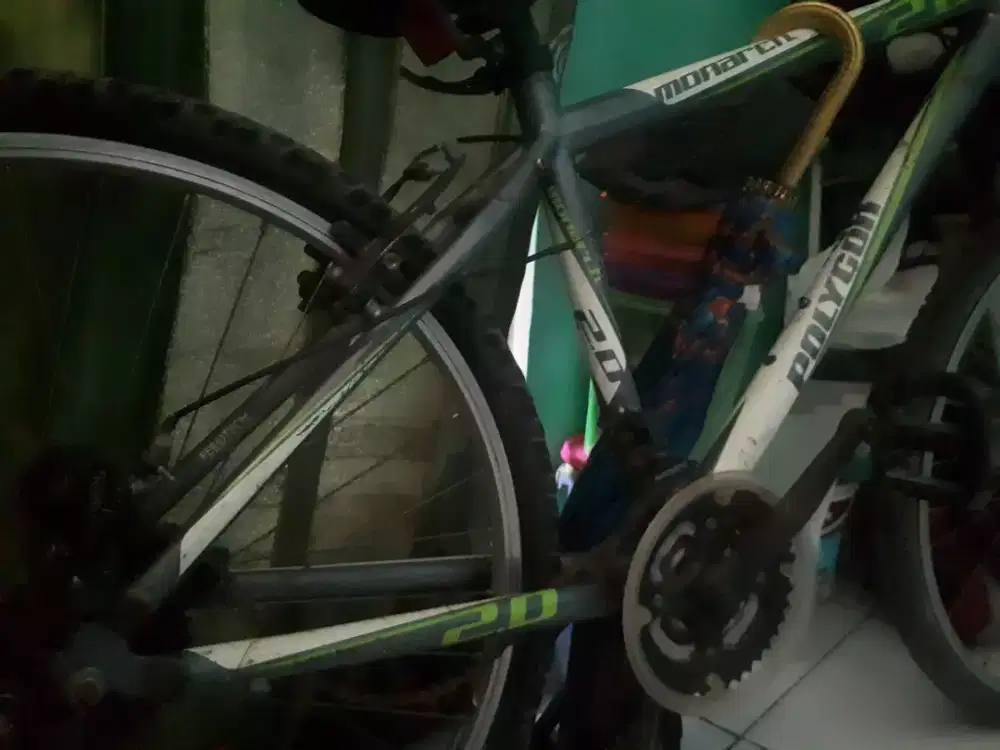 Jual sepeda polygon monarch minus