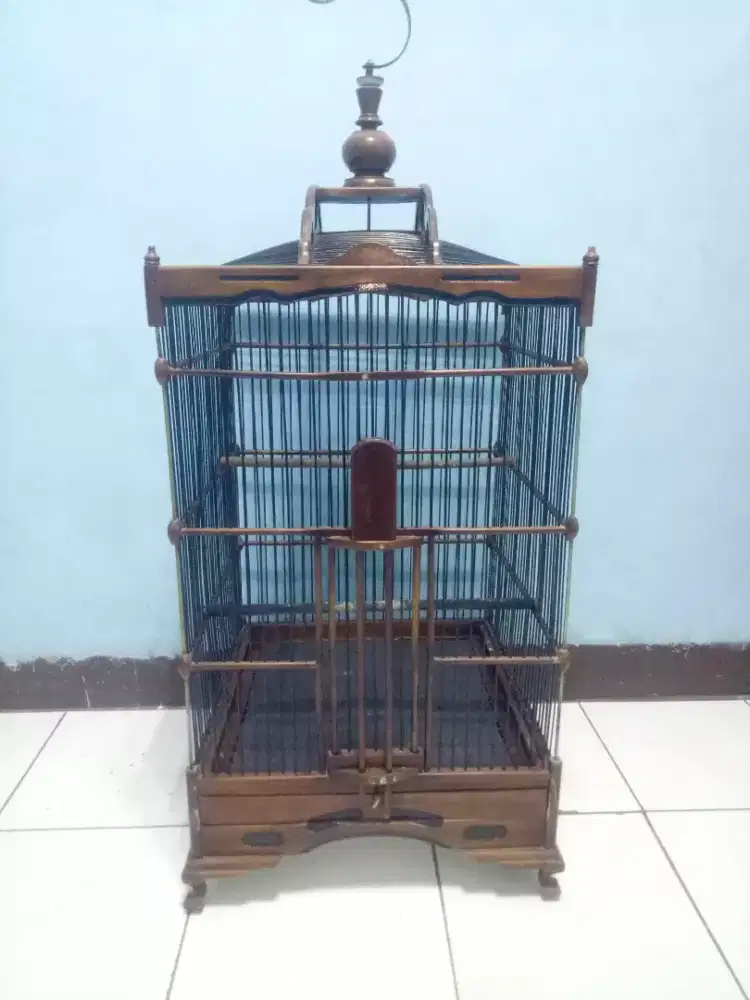 Sangkar jati ampeg UK 42x42