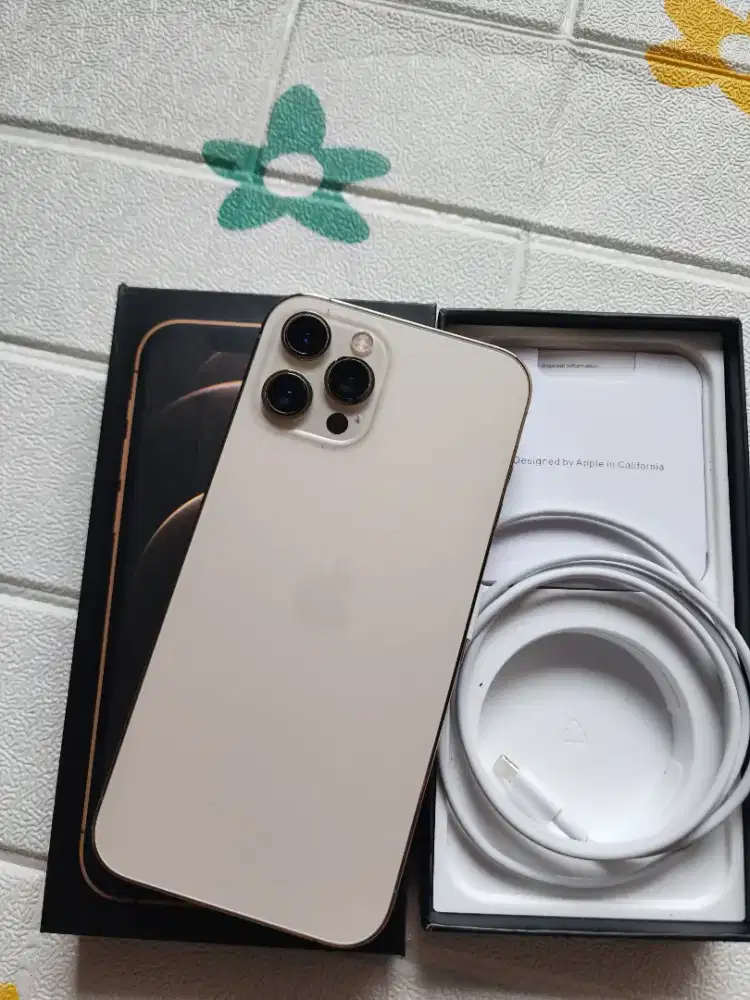 Iphone 12 promax 128gb ex ibox warna gold