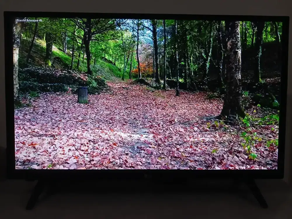 32 inch LG television
