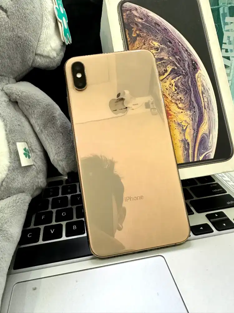 iPhone XS Max 256GB