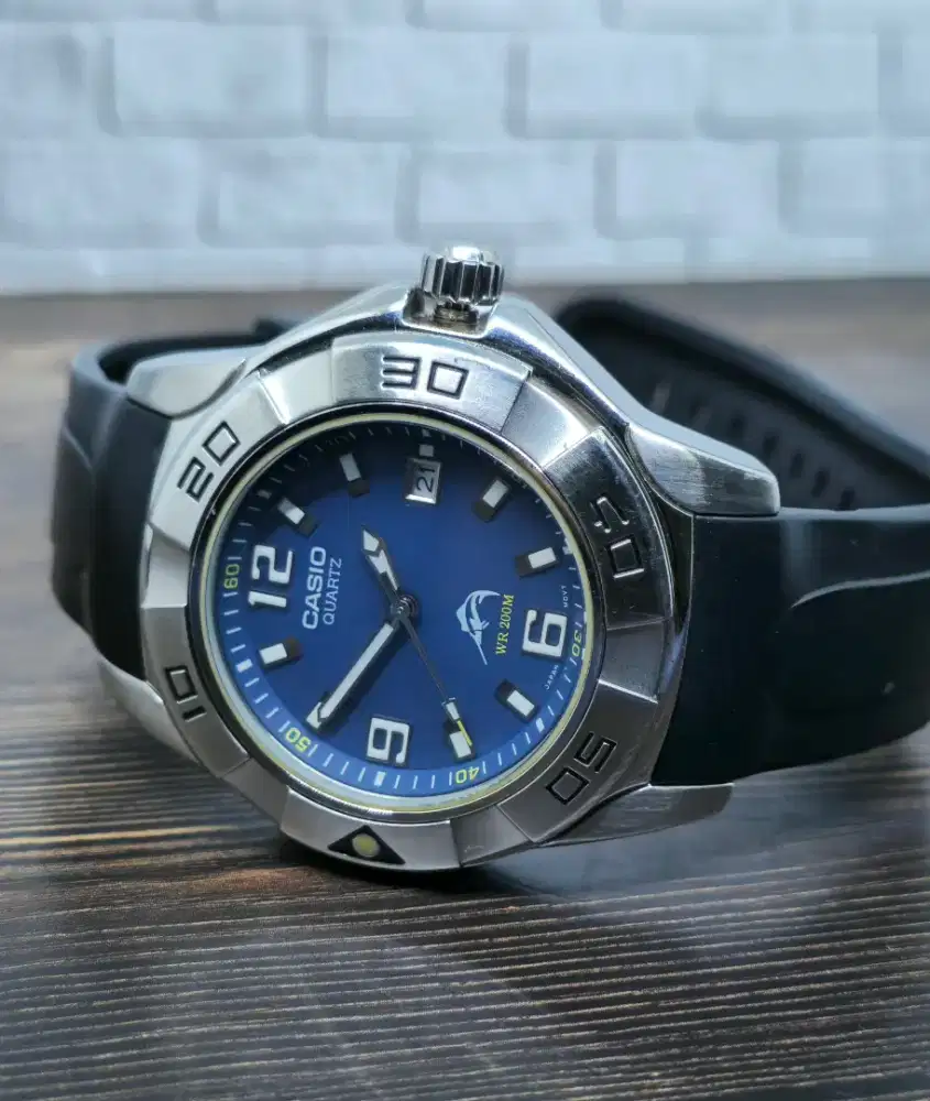 Casio Mdv-100 diver watches