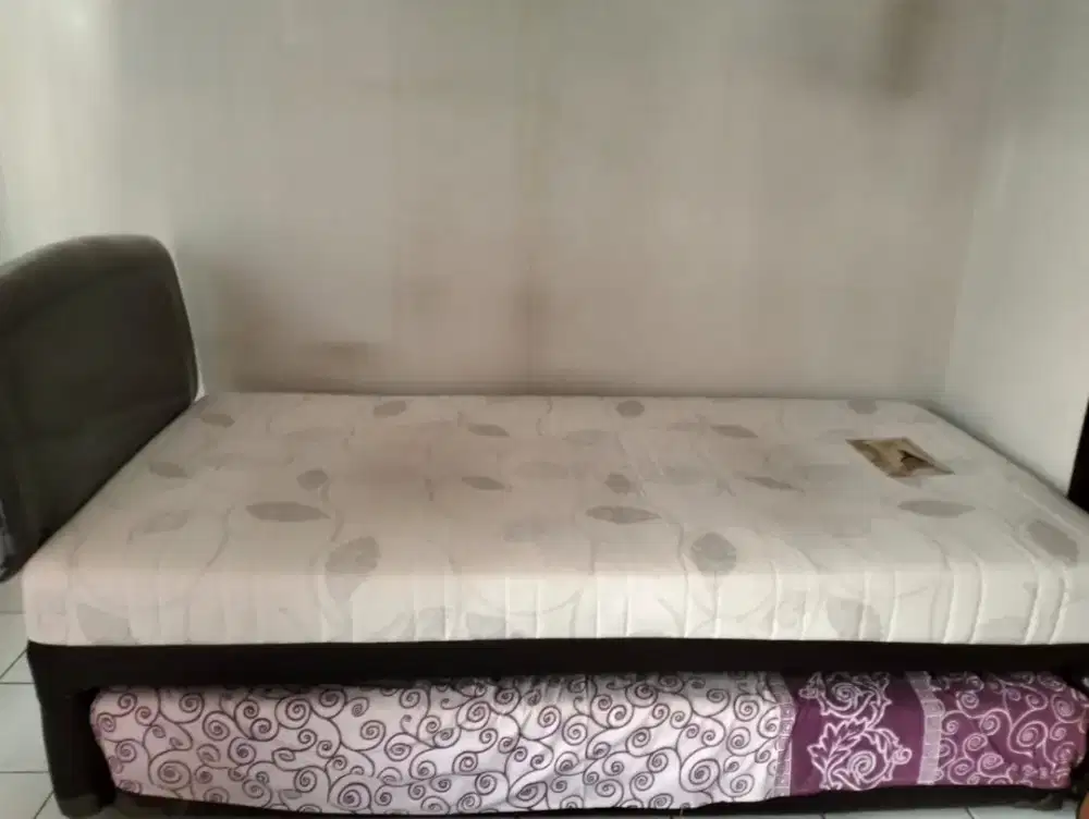 Dijual Kasur Spring & Latex Bed