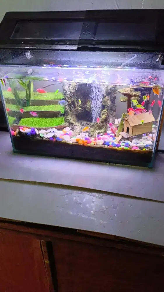 Jual aquarium aquatic 500 rb