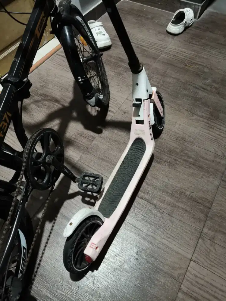 SEPEDA GENIO DAN SCOOTER EXOTIC