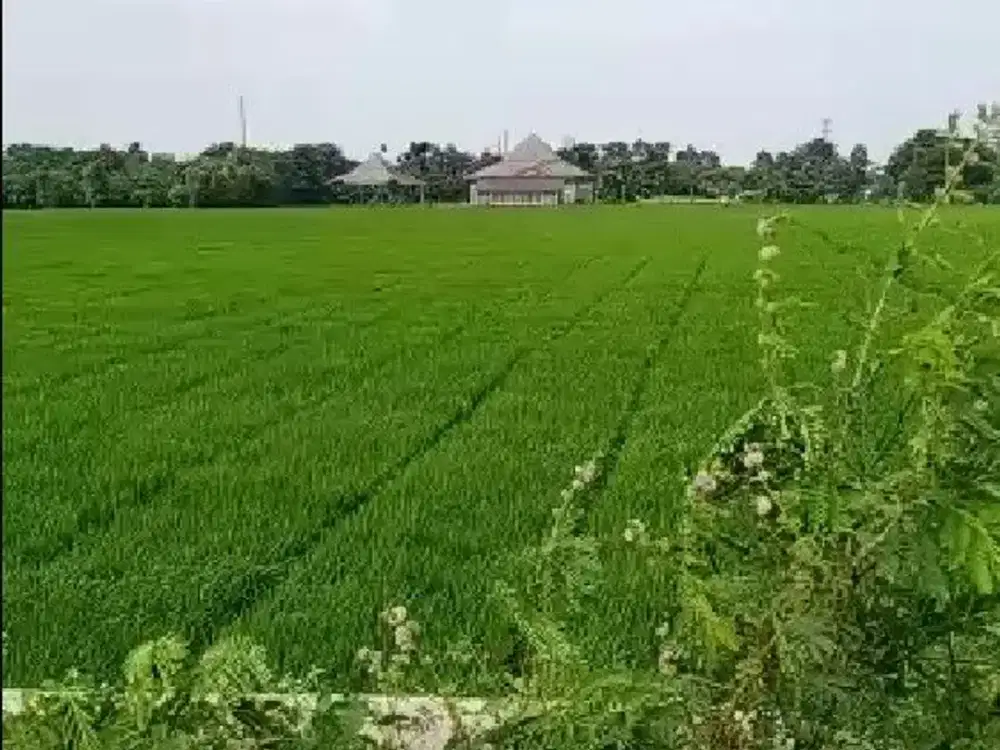 Tanah Komersial / Industri di jl Internasional Karawang Barat