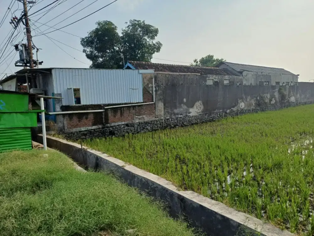 Jual JUAL TANAH 0 JALAN PROVINSI KARANGANYAR