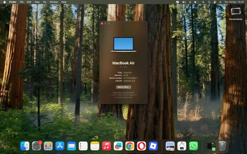 MacBook Air M1 2020 Apple Silicon