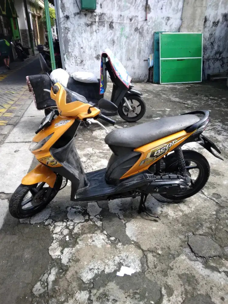 Beat Karbu Orange Asli