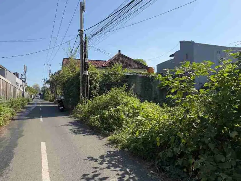 Jual Tanah Luas 253m Lokasi Jl Merak Ungasan Area Villa Komersial