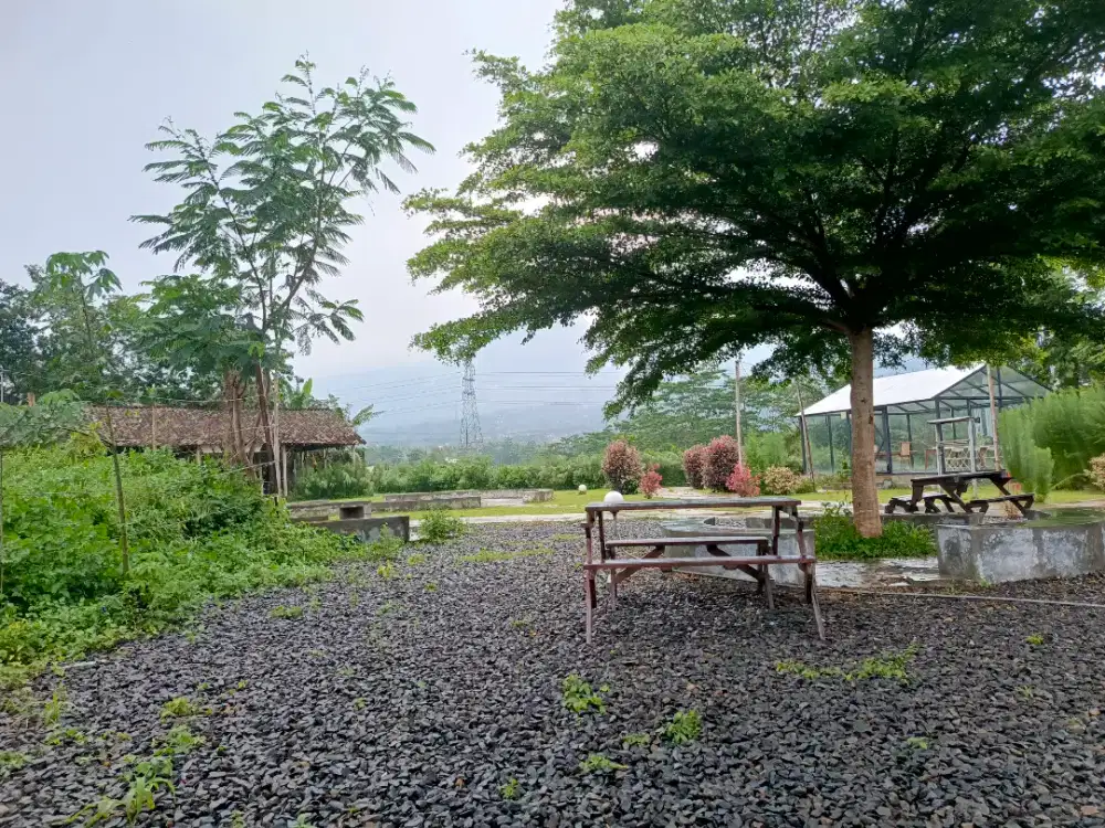 Dicari Staff Penginapan