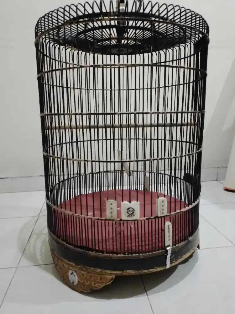 Kandang murai ebod lama no2