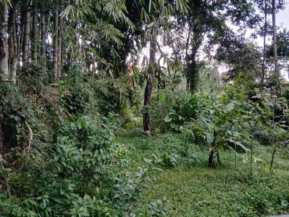 BU Tanah SHM MURAH di Pakem Sleman dekat Fasum
