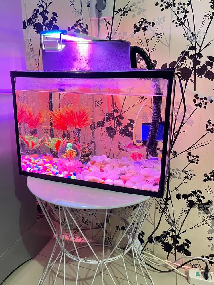 Di jual cepat tanpa perantara