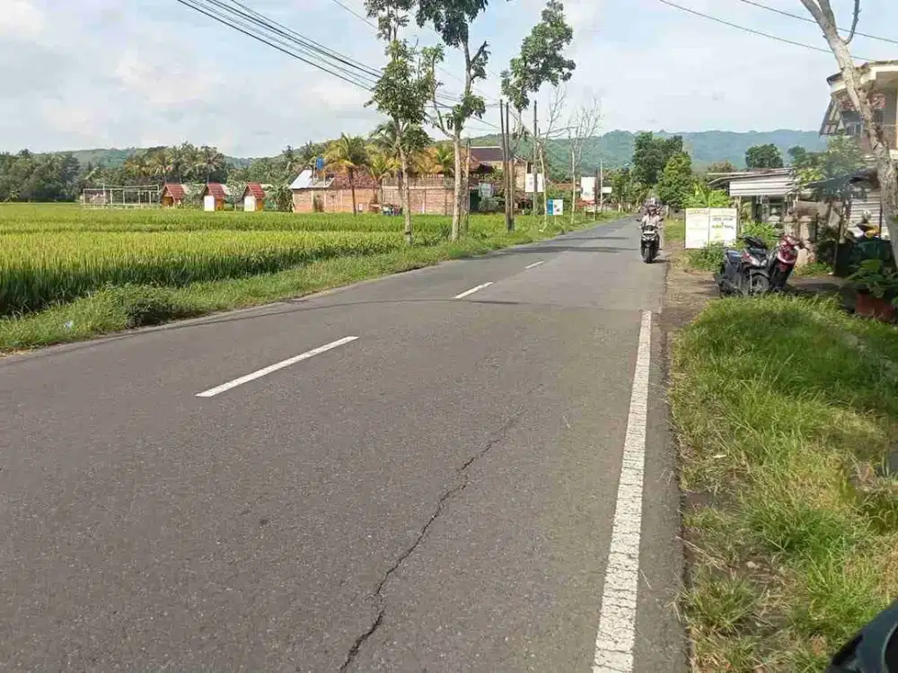 Tanah Strategis Tepi Jalan Aspal Dekat Kopi Ampirono Kulonprogo Yogyakarta